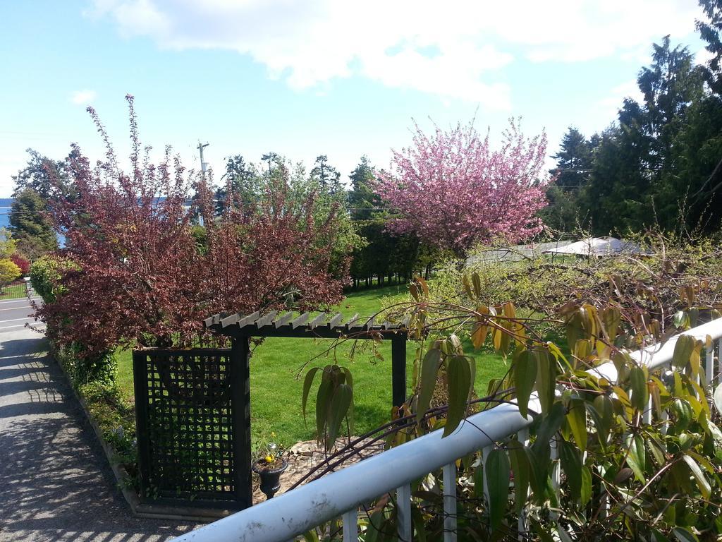 By The Sea Bnb, Sidney Victoria Bc المظهر الخارجي الصورة