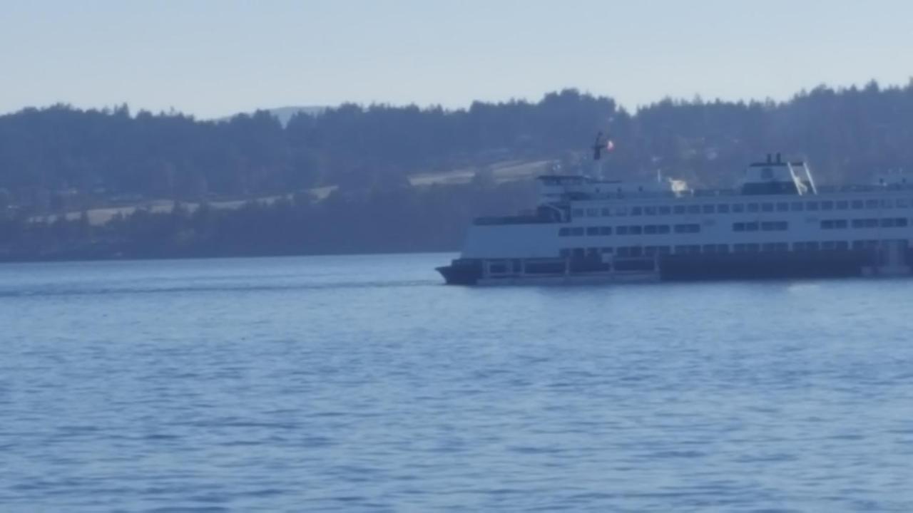 By The Sea Bnb, Sidney Victoria Bc المظهر الخارجي الصورة