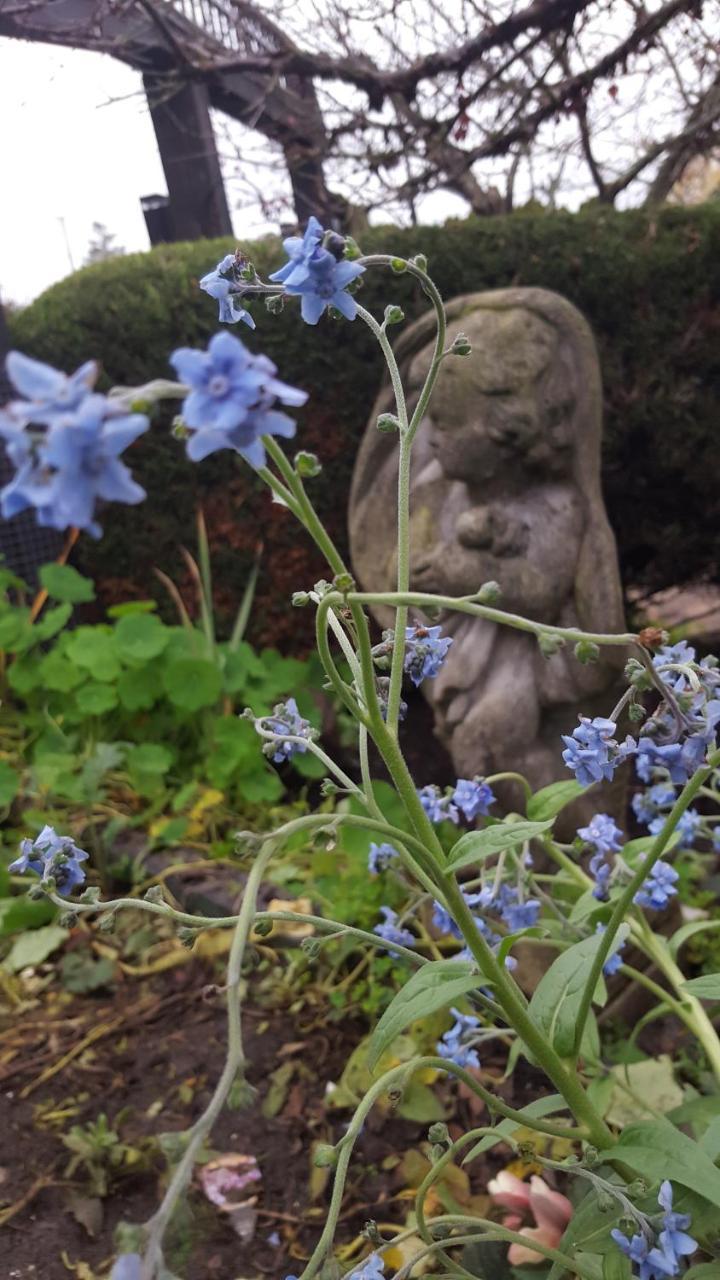 By The Sea Bnb, Sidney Victoria Bc المظهر الخارجي الصورة